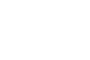 Just For The Win logo