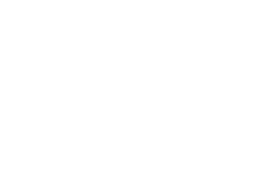 Betixon logo