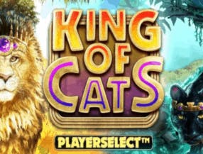 King of Cats