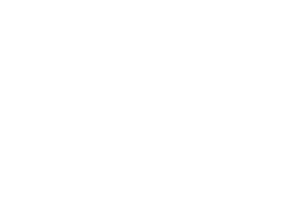 WMS logo