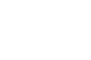 Play'n go logo