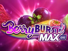 Wooburst Max logo