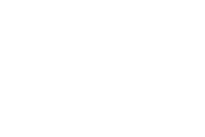 Vibra Gaming logo