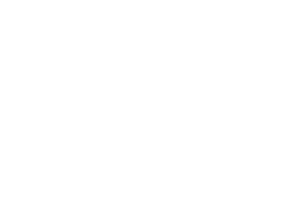 Tom Horn Gaming logo