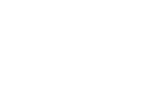 Skywind Group logo