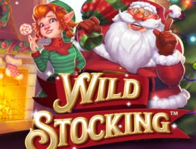 Wild Stocking
