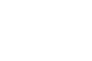 Betsoft logo