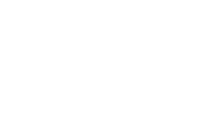 Reel Kingdom logo