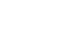 NextGen logo