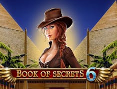 Book Of Secrets 6 logo