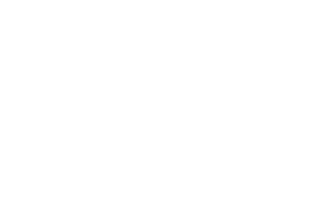 Endorphina logo