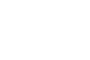 Rarestone Gaming logo