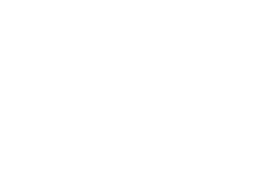 PearFiction Studios logo
