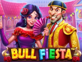 Bull Fiesta