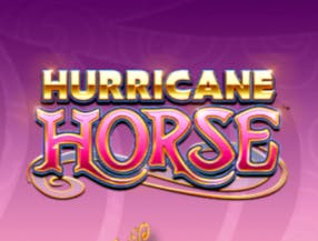 Hurricane Horse