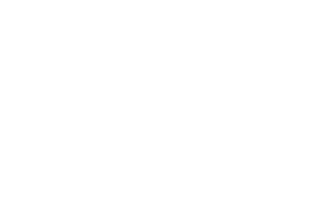 Bally Wulff logo