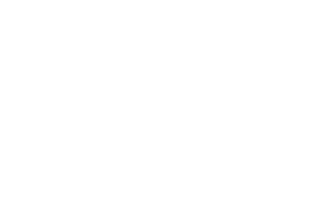 Evolution Gaming logo
