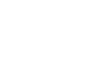 BGaming logo