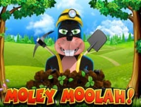 Moley Moolah