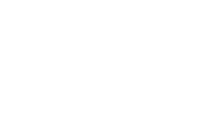 Wild Streak Gaming logo