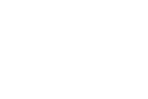 Octavian Gaming logo