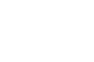 Leap Gaming logo