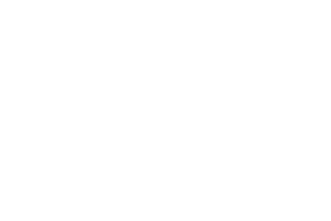 Evoplay logo