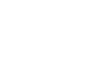All41 Studios logo