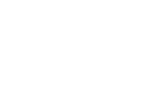 DreamTech logo